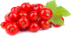 Купить Красную Смородину Цена