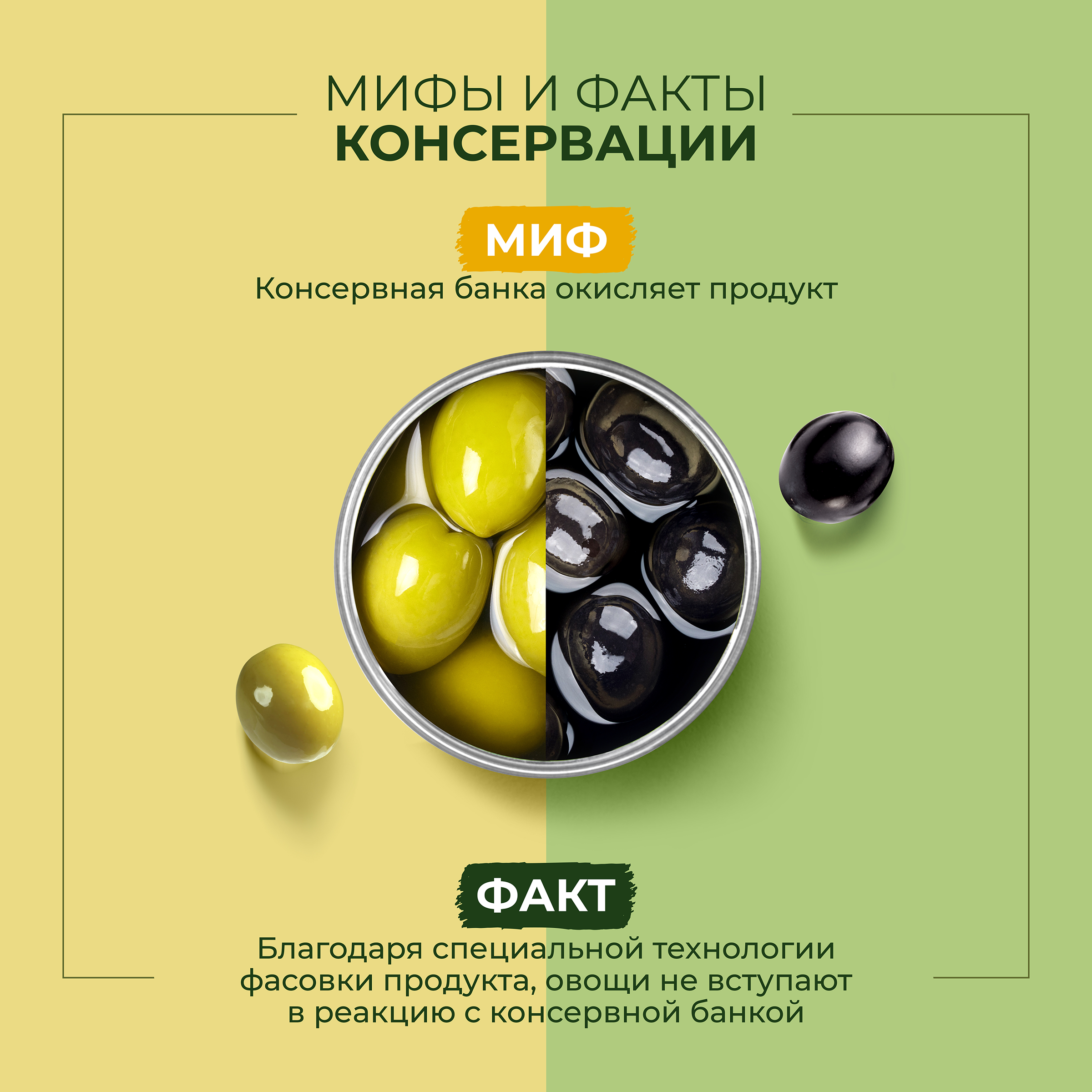Маслины без косточки BONDUELLE Classique, 314мл - купить с доставкой в ...