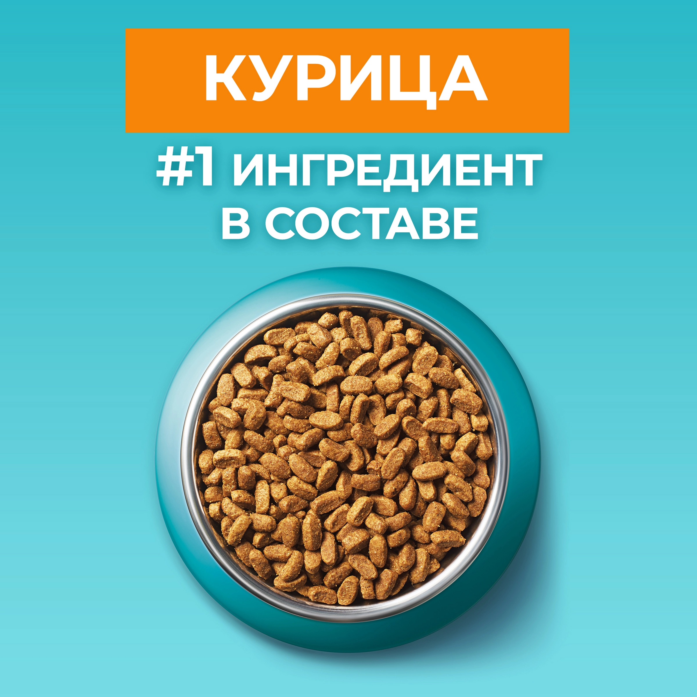 Корм сухой для взрослых кошек PURINA ONE Adult с курицей и цельными  злаками, 750г - купить с доставкой в Москве и области по выгодной цене -  интернет-магазин Утконос