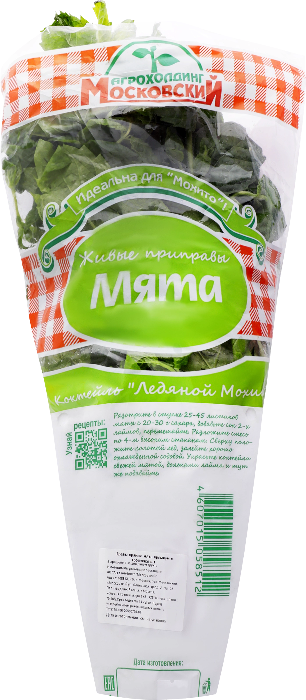 Мята, в горшочке - купить с доставкой в Москве и области по выгодной цене -  интернет-магазин Утконос