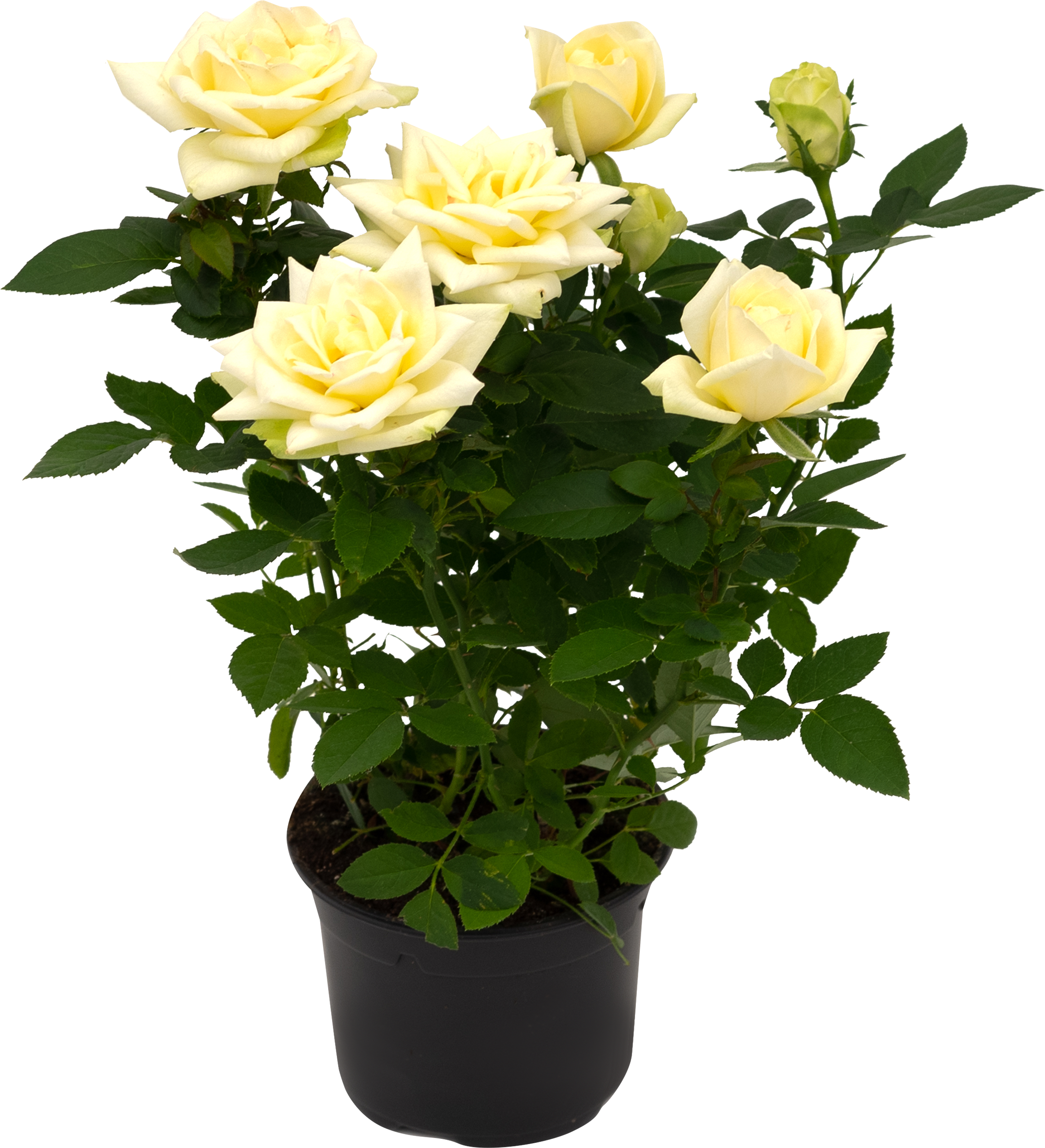 c2883fa0-3f79-40f1-9a64-