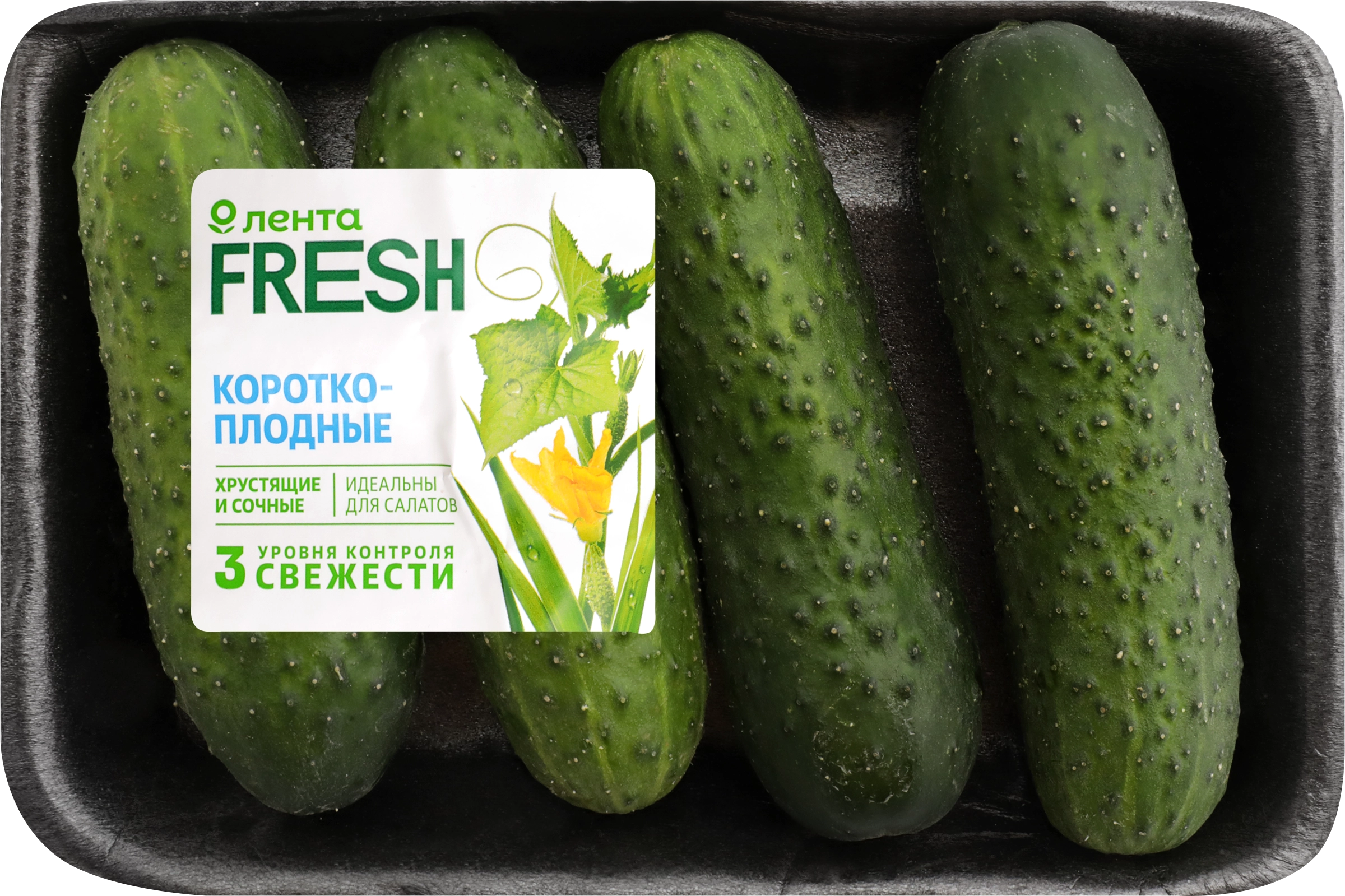 Огурцы короткоплодные ЛЕНТА FRESH колючие, 450г