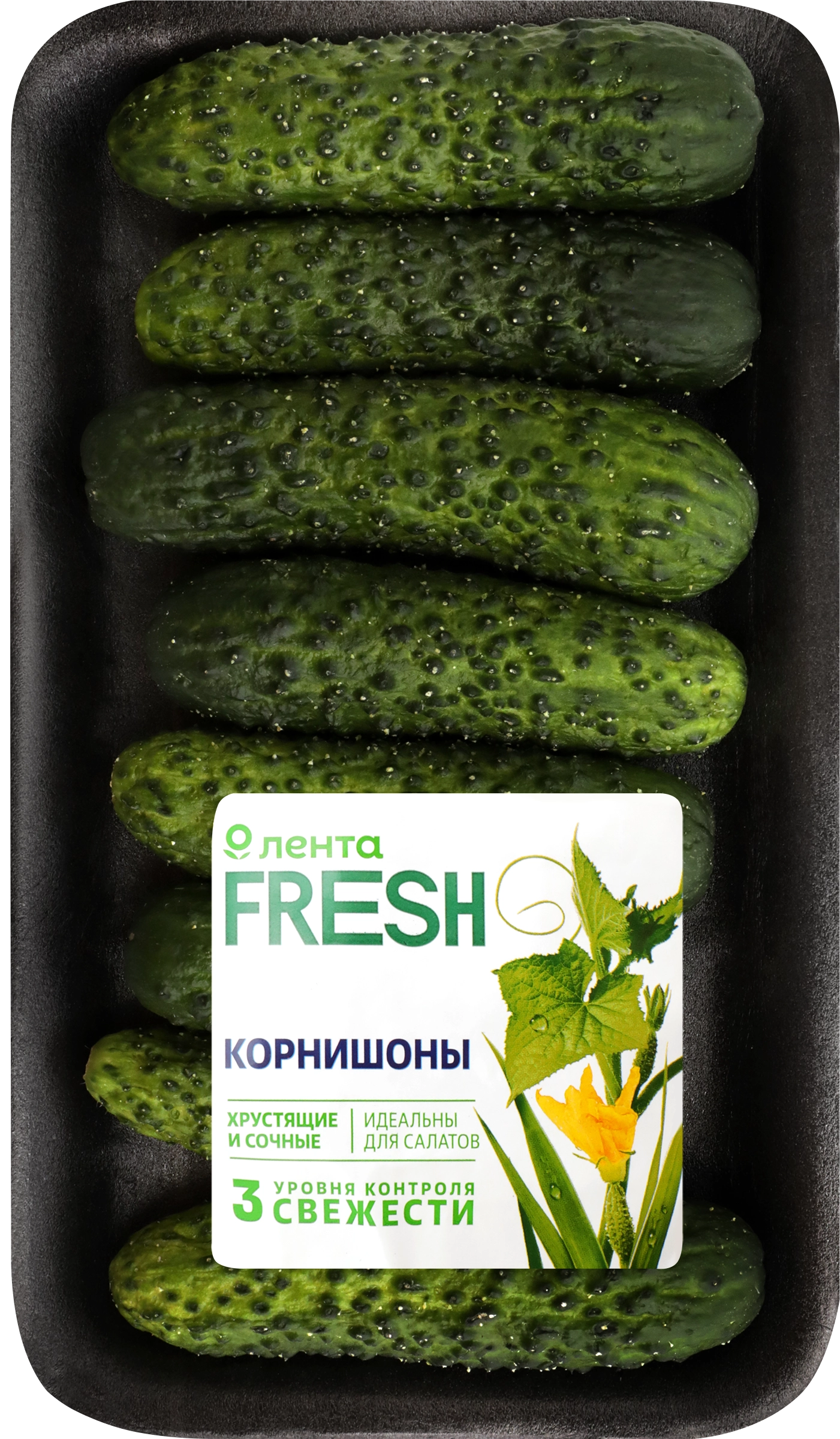 Огурцы ЛЕНТА FRESH корнишоны, 300г - купить с доставкой в Москве и области  по выгодной цене - интернет-магазин Утконос