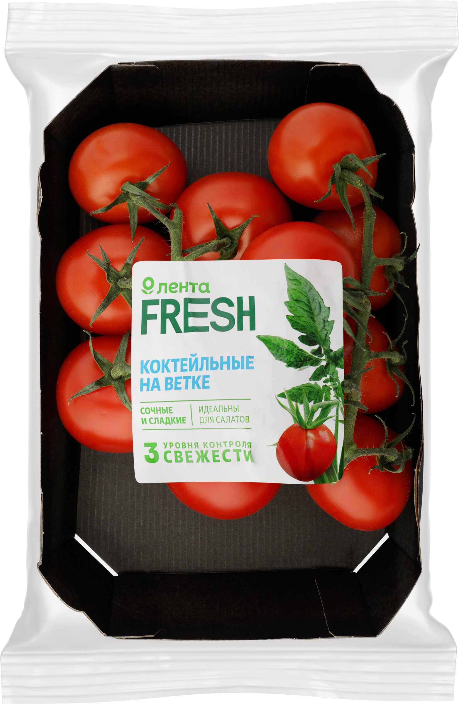 Томаты ЛЕНТА FRESH коктейльные на ветке, 450г