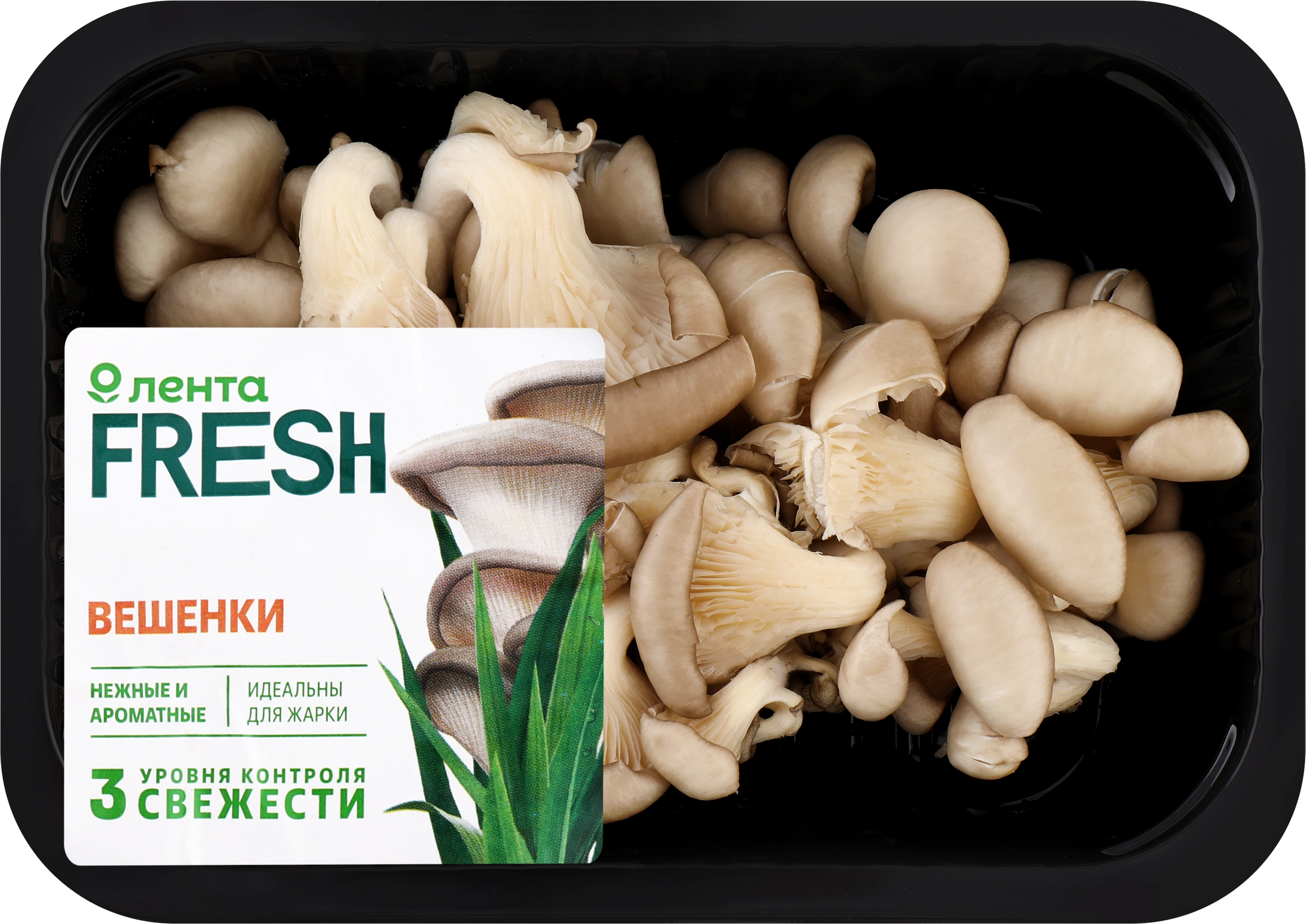 Вешенки ЛЕНТА FRESH, 200г - купить с доставкой в Москве и области по  выгодной цене - интернет-магазин Утконос