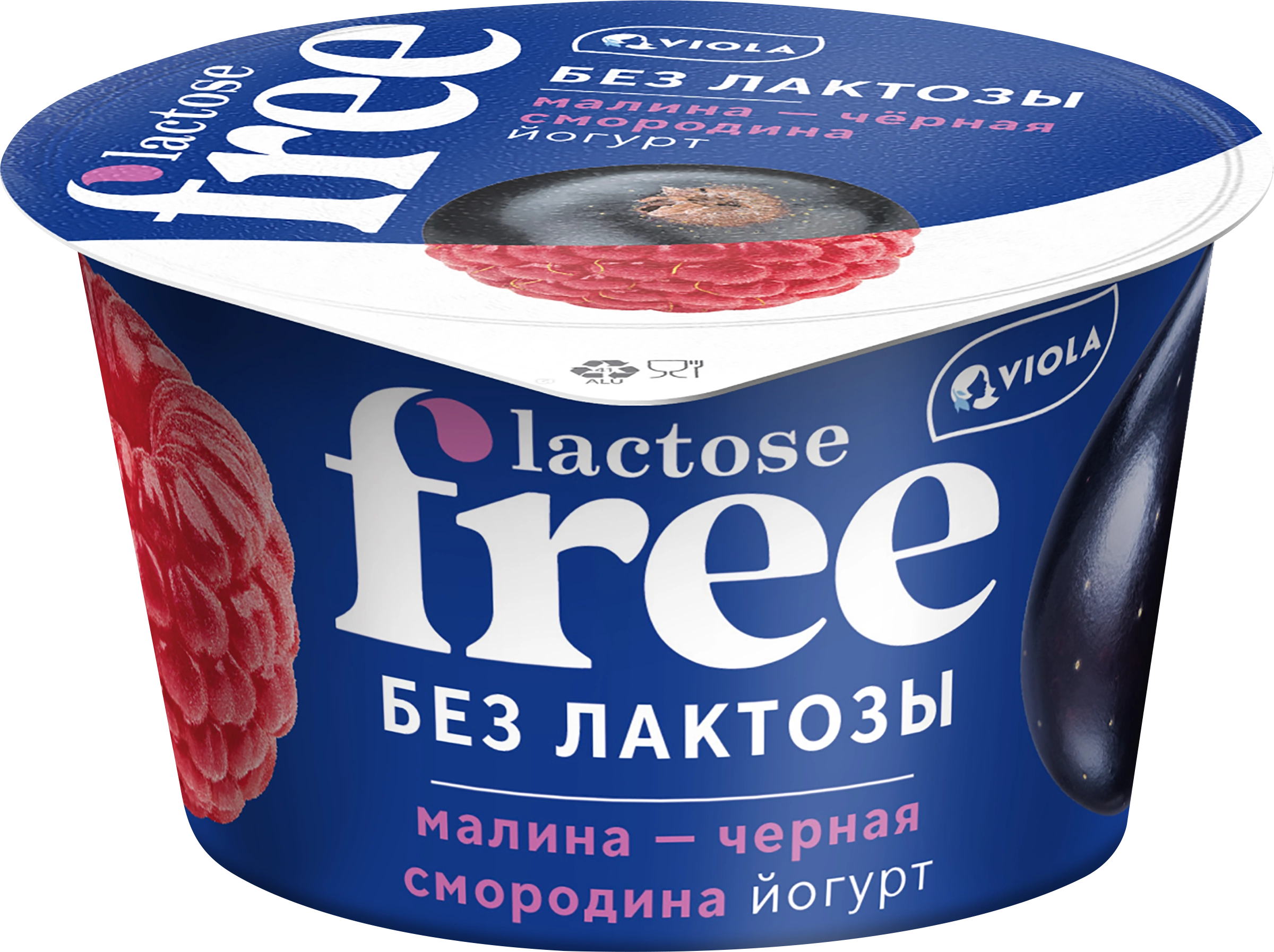 Йогурт VIOLA FREE безлактозный с наполнителем Малина, черная смородина  2,7%, без змж, 180г - купить с доставкой в Москве и области по выгодной  цене - интернет-магазин Утконос