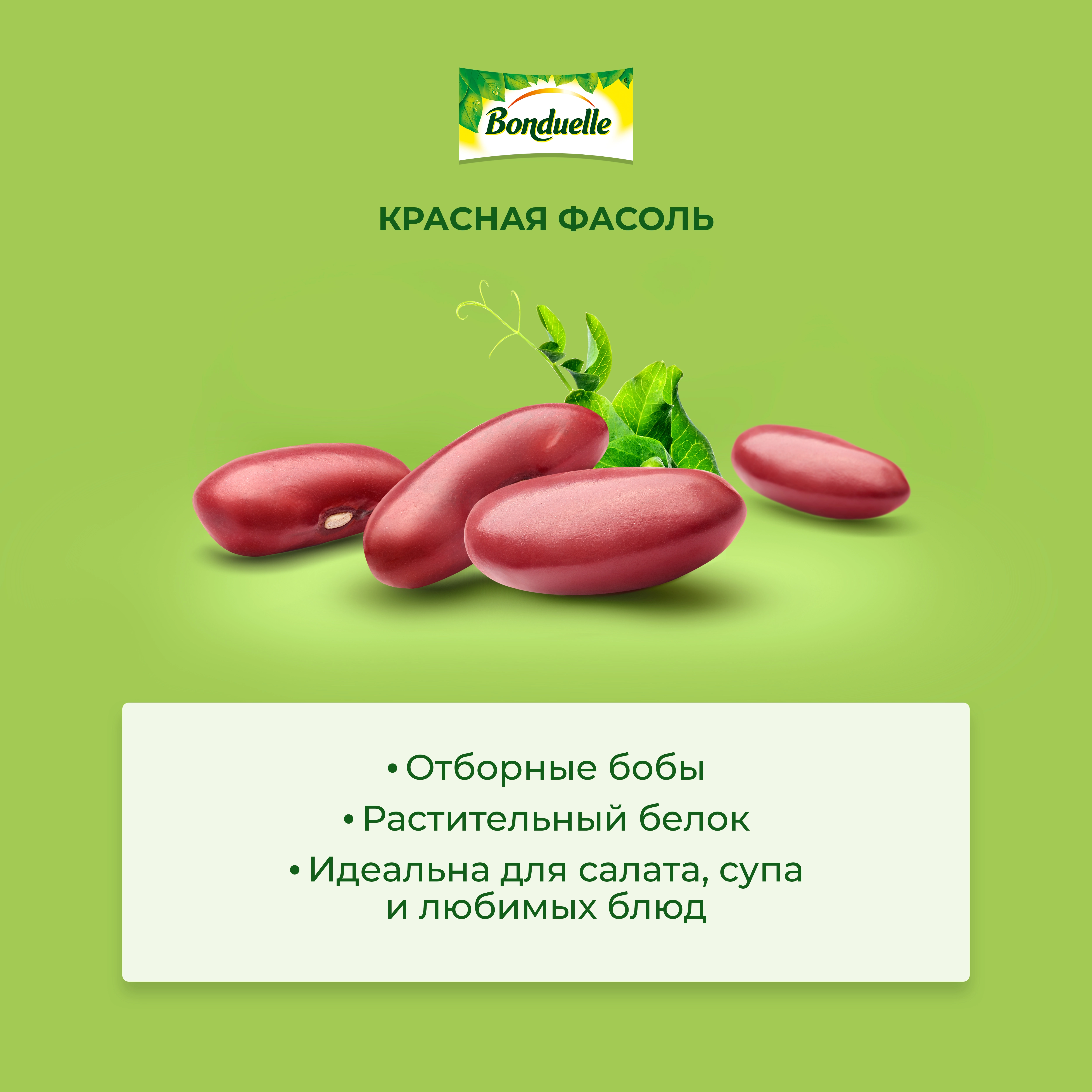 Фасоль красная BONDUELLE Classique, 425мл - купить с доставкой в Москве и  области по выгодной цене - интернет-магазин Утконос