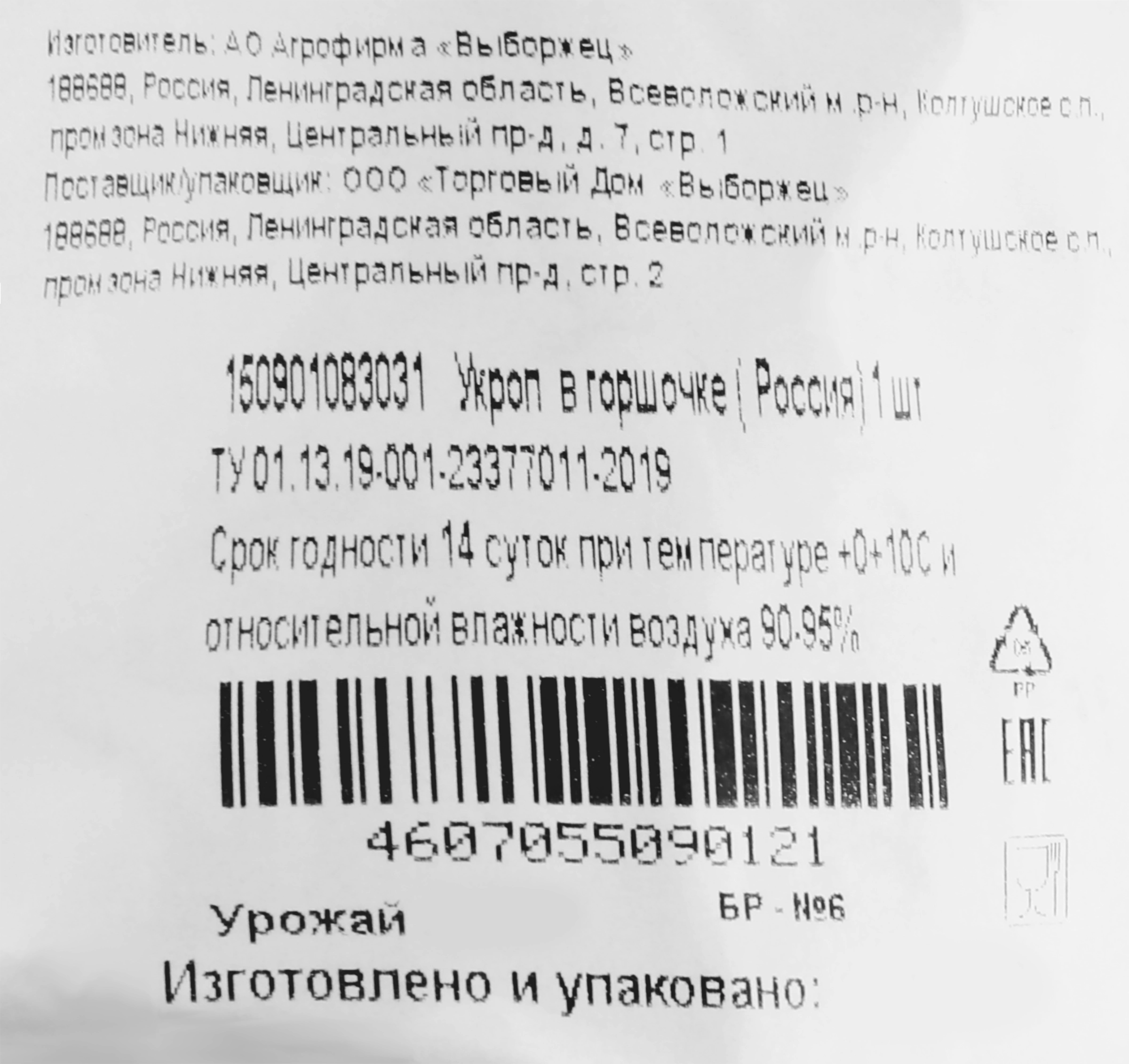 Укроп, в горшочке - купить с доставкой в Москве и области по выгодной цене  - интернет-магазин Утконос