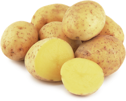 Картофель белый мытый, весовой, вид