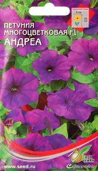 Семена ДОМ СЕМЯН Петуния гибридная, в ассортименте, 0,01г, картинка