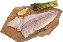 Пангасиус филе (из замороженного сырья) ЛЕНТА FRESH, весовой, детальное фото