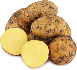 Картофель белый молодой, весовой, изображение
