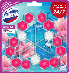 Блок для унитаза ДОМЕСТОС Trio Power 5 Ледяная магнолия, 3х55г, фотография