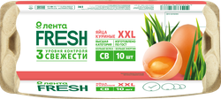 Яйцо куриное XXL СВ, 10шт, фотография