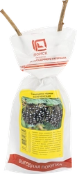Саженец плодовый ПОИСК Смородина черная, традиционные сорта