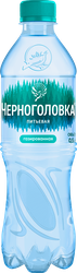 Вода питьевая ЧЕРНОГОЛОВСКАЯ газированная, 0.5л, детальное фото