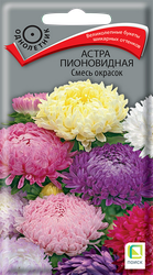 Семена ПОИСК Астра пионовидная, смесь, 0,3г, фотография