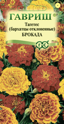 Семена ГАВРИШ Бархатцы отклоненные (Тагетес) Брокада, смесь, Арт. 1026999420, 0,3г, детальное фото