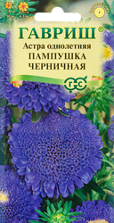 Семена ГАВРИШ Астра помпонная однолетняя Пампушка черничная, Арт. 10006543, 0,3г, фото