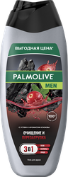 Гель для душа PALMOLIVE Men 3в1 Очищение и перезагрузка, для тела, волос и лица, 450мл, крупный план