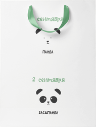 Пакет подарочный CITY HOME TRADE 31х41х10см, детальное фото