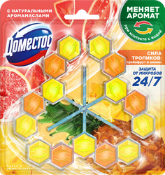 Блок для унитаза ДОМЕСТОС Power 5 трио Свежесть цитруса, 150г, картинка