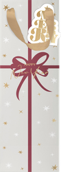 Пакет подарочный CITY HOME TRADE X-Mas Academy под бутылку 38х12х10см, детальное фото