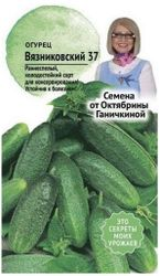 Семена Огурца Октябрина Ганичкина Вязниковский 37 5 г, крупный план