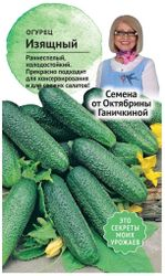 Семена Огурца Октябрина Ганичкина Изящный 10 шт, детальное фото