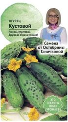 Семена Огурца Октябрина Ганичкина Кустовой 3 г, детальное фото