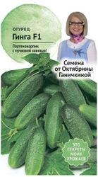 Семена Огурца Октябрина Ганичкина Гинга F1 10 шт, вид