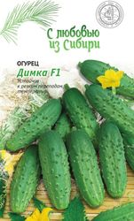 Семена Огурца Димка F1 0,25 г, вид