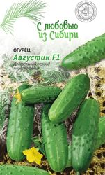 Семена Огурца Августин F1 0,25 г, крупный план