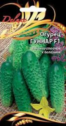 Семена Огурца Гуннар F1 7 шт, фотография