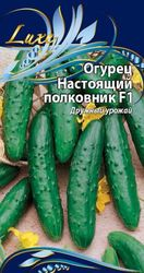 Семена Огурца Настоящий полковник 0,25 г, изображение