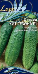 Семена Огурца Хит сезона F1 0,25 г, крупный план