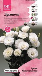 Эустома Арена Килиманжаро 5 шт АСТ, детальное фото