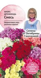Семена Флокс друммонда смесь Семена от Октябрины Ганичкиной 0,1 гр, вид