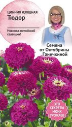Семена Циннии Октябрина Ганичкина Тюдор 10 шт, картинка