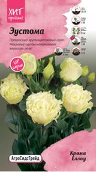 Семена Агросидстрейд Эустома Крома Еллоу, крупный план