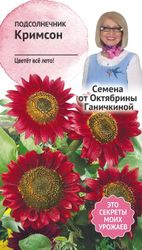 Семена Подсолнечника Октябрина Ганичкина Кримсон 0,5 г, вид
