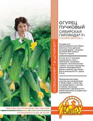 Семена ОГУРЕЦ СИБИРСКАЯ ГИРЛЯНДА 5 ШТ ШТАЙНЕРТ, вид