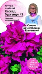 Семена Петунии Октябрина Ганичкина Каскад бургунди F1 10 шт, фотография