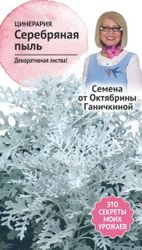 Семена Цинерарии Октябрина Ганичина Серебряная пыль 0,1 г, картинка
