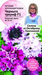 Семена Петунии Октябрина Ганичкина Черныго Триумф F1 10 шт, крупный план