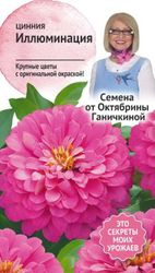 Семена Циннии АгроСидсТрейд Иллюминация 0,3 г, картинка
