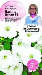 Семена Петуния Лавина белая F1 10 шт Семена от Октябрины Ганичкиной, детальное фото