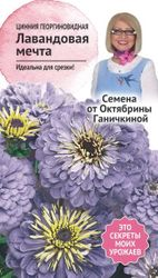 Семена Циннии Октябрина Ганичкина Лавандовая мечта 0,3 г, крупный план