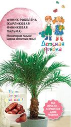 Семена Детская грядка Финик Робелена (карликовая финиковая пальма), 5шт, крупный план