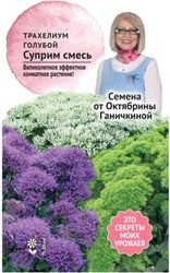 Трахелиум голубой Суприм Смесь 5 шт, фото